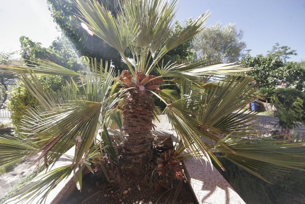 Apartments Karabaic Krk クルク エクステリア 写真